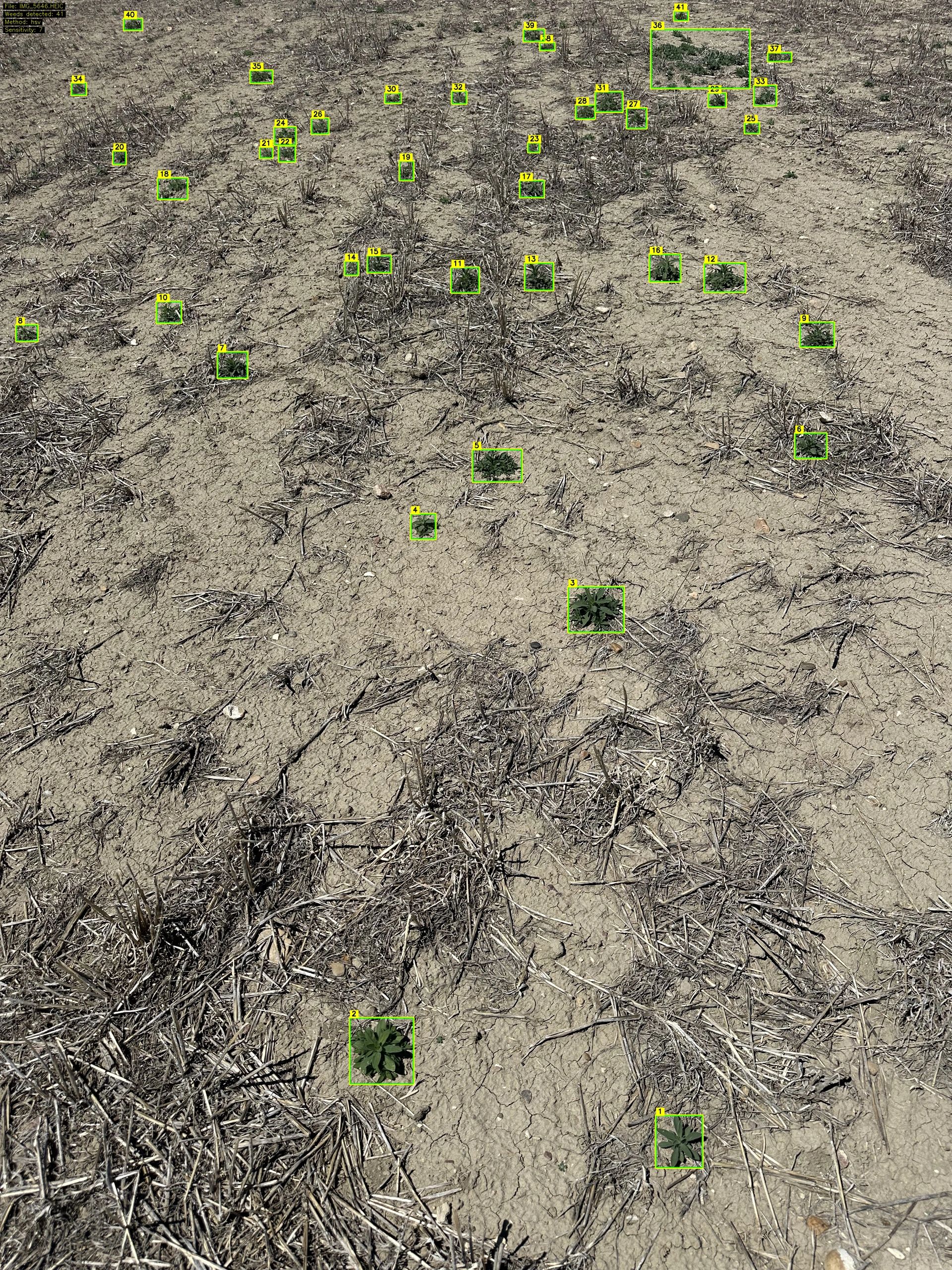 FarmDefender weed detection — real-time AI bounding boxes around weeds detected at field speed, triggering individual nozzle control